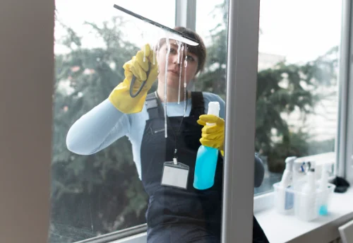 Nettoyage de vitres intérieures et extérieures à Guerlédan